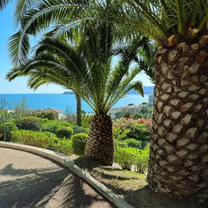 Appartement Piscine Vue Parking 4 Personnes Cannes
